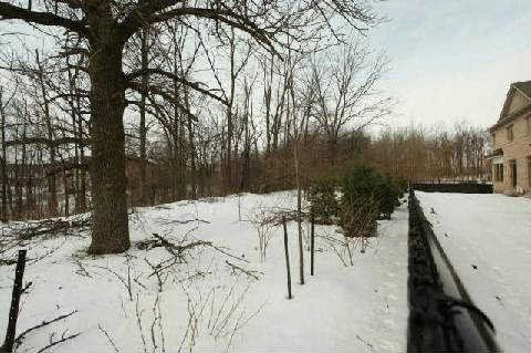 3459 Park Heights Way, Mississauga, L5M0V5 | Image 3