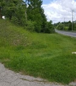 9664 Goreway Dr, Brampton, L6P 0M6 | Image 3