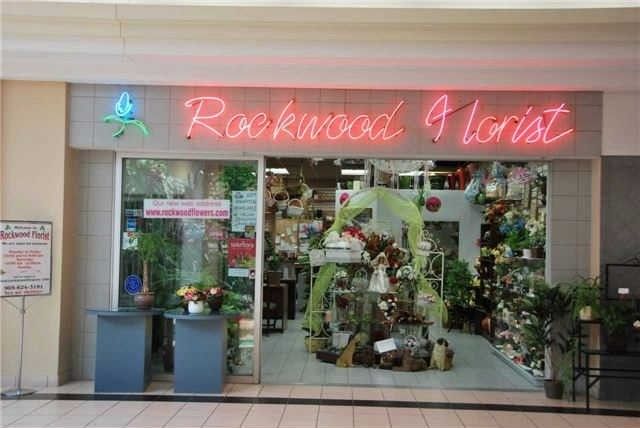 32 - 4141 Dixie Rd, Mississauga, L4W1W3 | Image 2