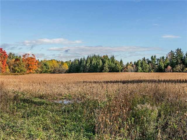 Lot 4 - 2606 Harvestmoon Lane, Burlington, L7P0N5 | Image 3