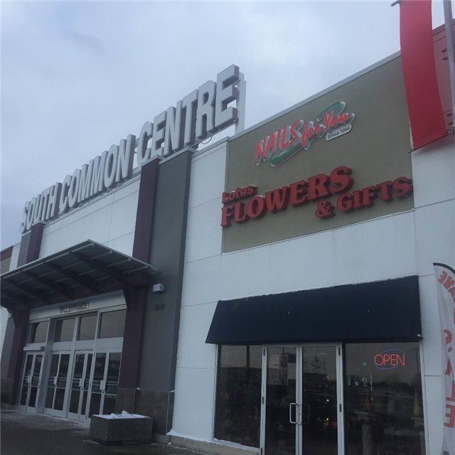 H2 - 2150 Burnhamthorpe Rd, Mississauga, L5L3A2 | Image 2