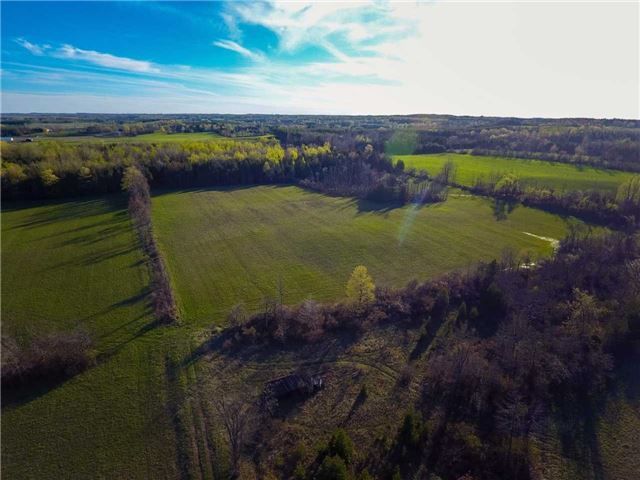 0 Shaws Creek Rd, Caledon, L7C1V6 | Image 3