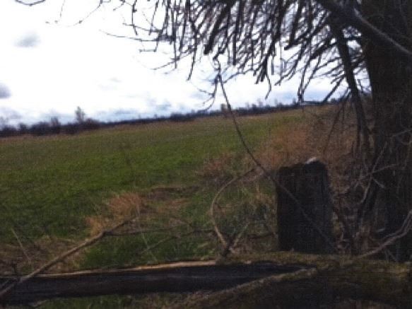 0 King St, Caledon, L7C 0N3 | Image 2