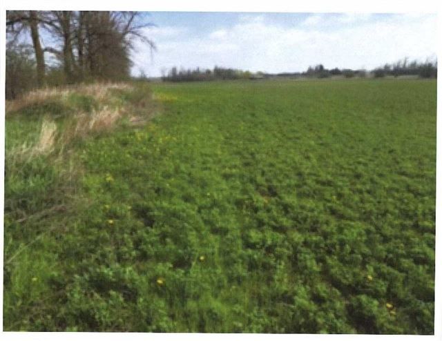 0 King St, Caledon, L7C 0N3 | Image 3