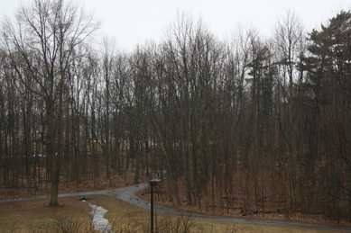 1001 - 3501 Glen Erin Dr, Mississauga, L5L2E9 | Image 3