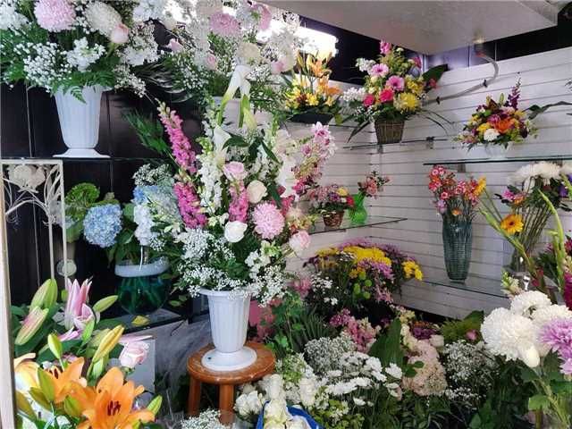 4141 Dixie Rd, Mississauga, L4W1W3 | Image 2