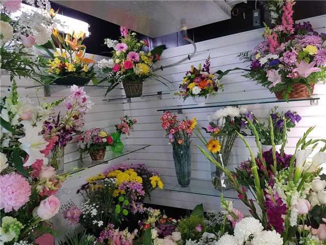 4141 Dixie Rd, Mississauga, L4W1W3 | Image 3