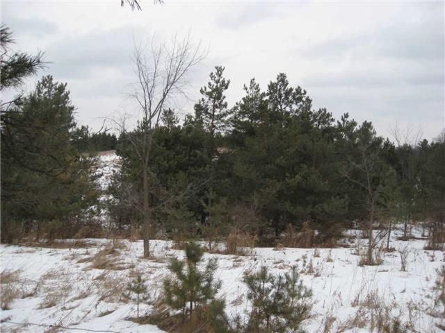 0 Airport Rd, Caledon, L7G1G8 | Image 2