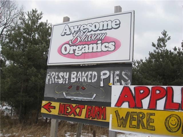 0 Airport Rd, Caledon, L7G1G8 | Image 3