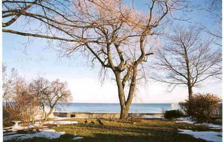 1588 Watersedge Rd, Mississauga, L5J1A4 | Image 2