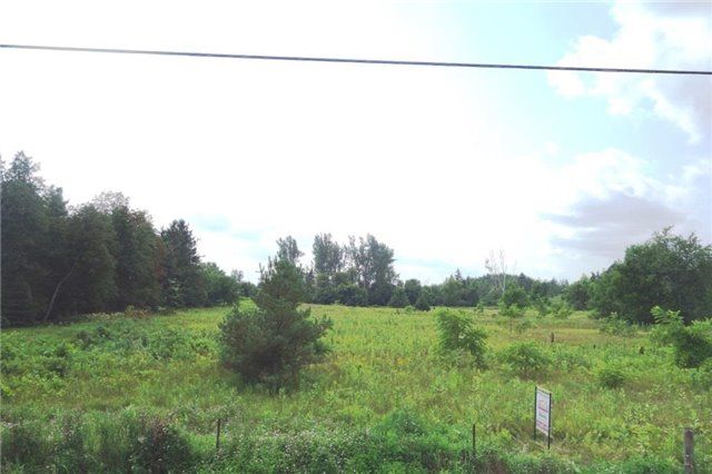 0 Hurontario St, Caledon, L7K0Y5 | Image 2