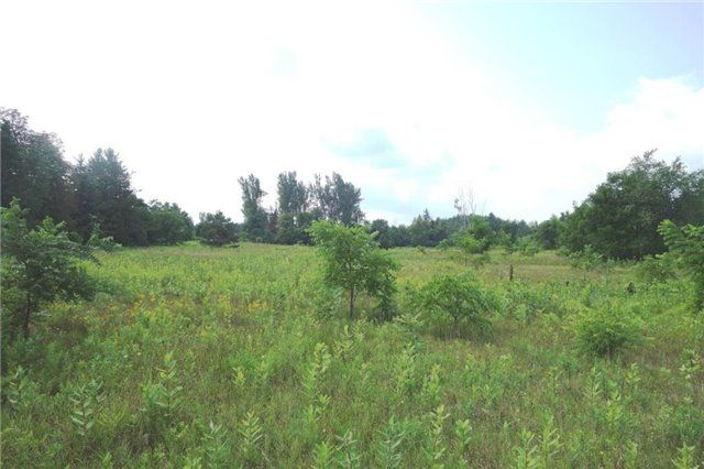 0 Hurontario St, Caledon, L7K0Y5 | Image 3