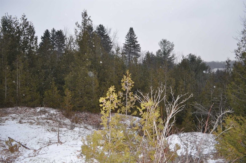 0 King St, Caledon, L7C1N8 | Image 3