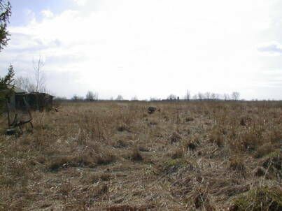 12630 Hurontario St, Caledon, L0N1C0 | Image 2