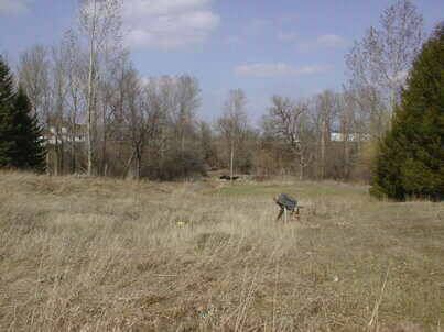 12630 Hurontario St, Caledon, L0N1C0 | Image 3