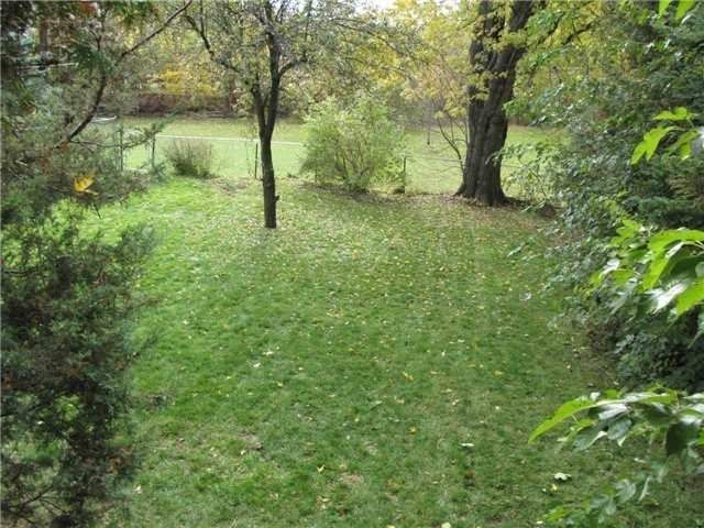 35 Enfield Ave S, Toronto, M8W1T6 | Image 2