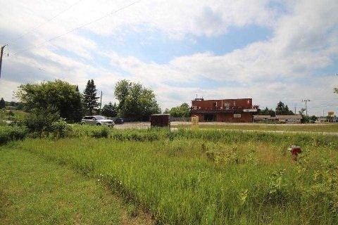 0 Airport Rd, Caledon, L7K0A1 | Image 3