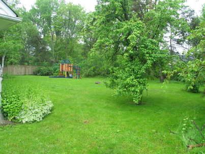 714 Atoka Dr, Mississauga, L5H1Y6 | Image 3