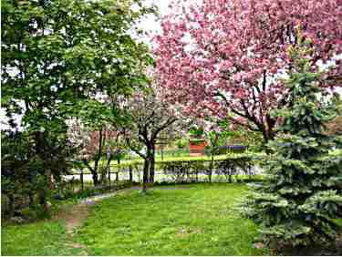 73 Ashford Crt, Brampton, L6V3E2 | Image 2