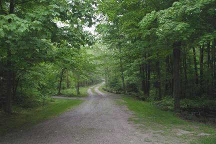 11646 Dublin Line, Halton Hills, L7J2M1 | Image 2