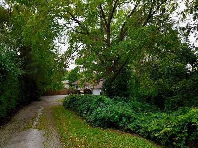 85 Yorkleigh Ave, Toronto, M9P1Y3 | Image 2