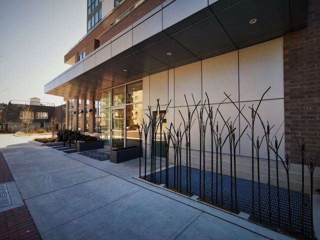 207 - 8 Ann St, Mississauga, L5G3E6 | Image 3