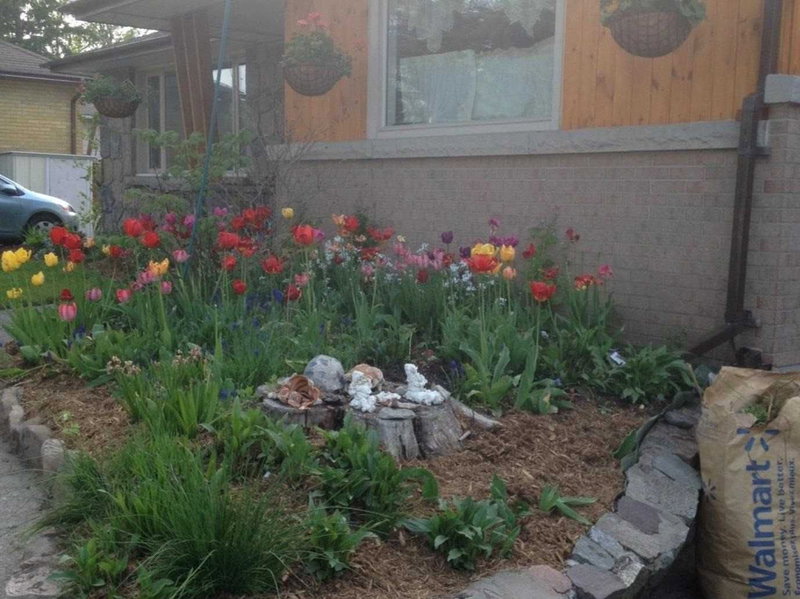 29 Victoria St, Orangeville, L9W1X1 | Image 2