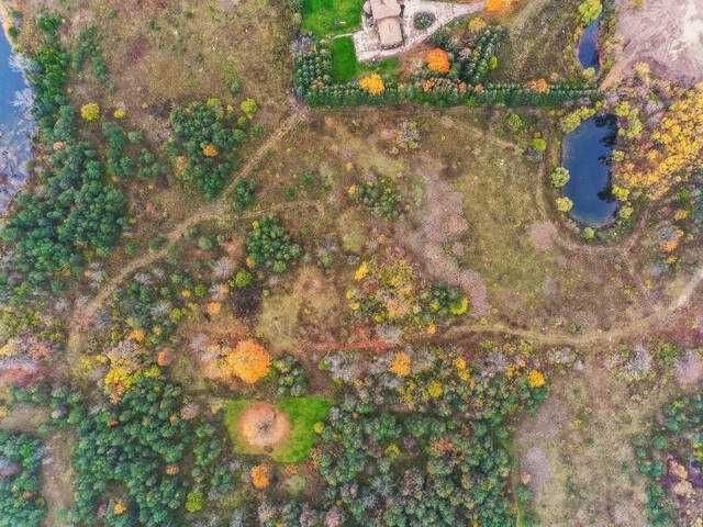 0 Airport Rd, Caledon, L7C 2W5 | Image 3