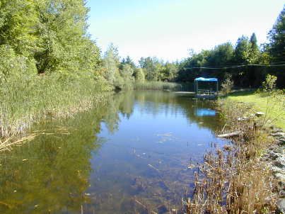 4069 Charleston Sdrd, Caledon, L0N1C0 | Image 3