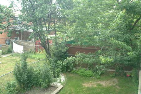 376 Hansen Rd N, Brampton, L6V3P7 | Image 3