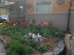 29 Victoria St, Orangeville, L9W1X1 | Image 2