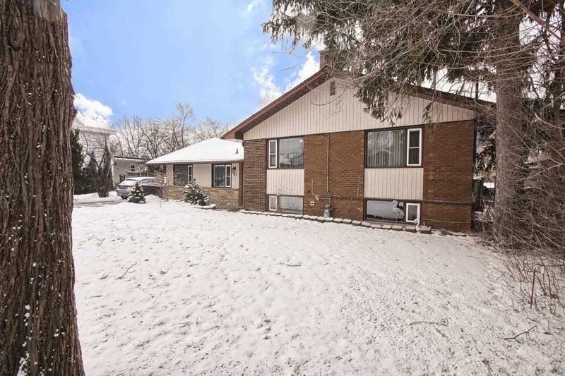 61 Centre St N, Brampton, L6V1T1 | Image 3