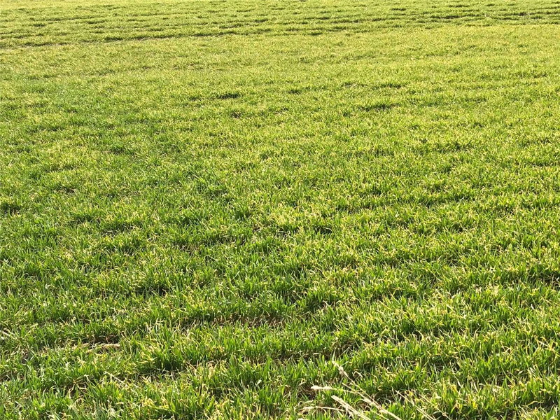 0 King St, Caledon, L4C0V3 | Image 2