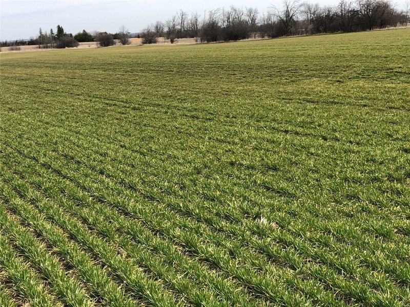 0 King St, Caledon, L4C0V3 | Image 3