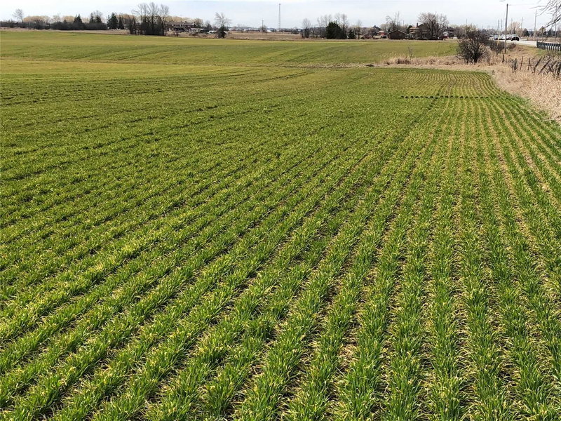 0 King St, Caledon, L7C 0V3 | Image 3