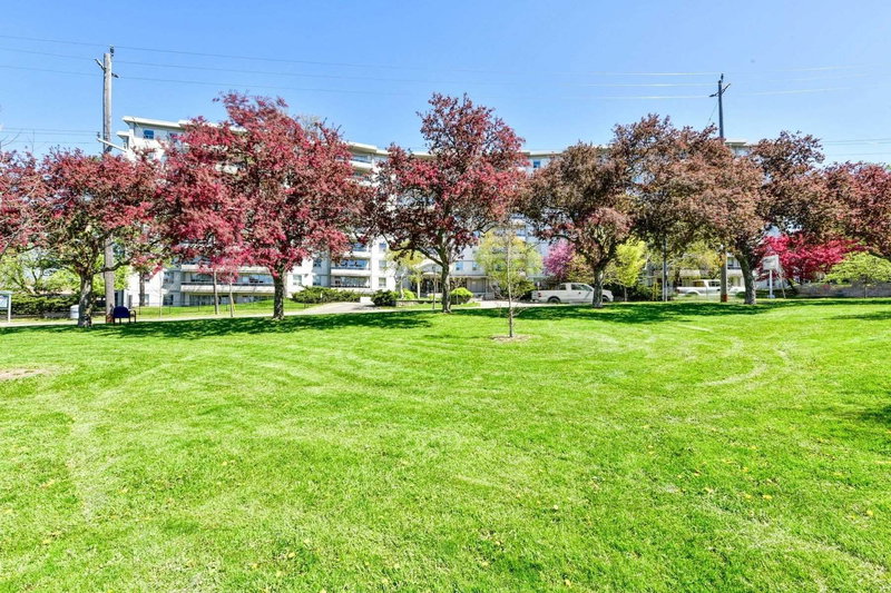 916 - 80 Grandravine Dr, Toronto, M3J1B2 | Image 3