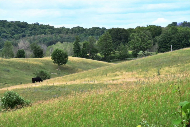 0 The Gore Rd, Caledon, N/A | Image 2