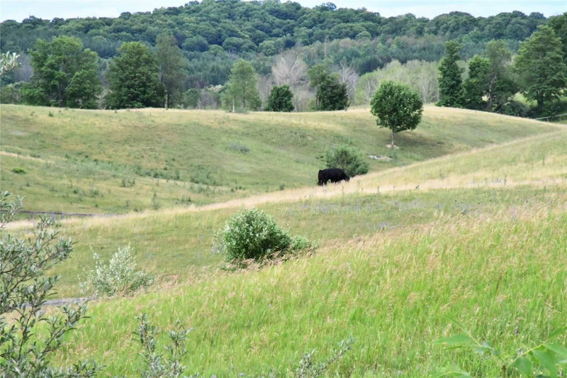 0 The Gore Rd, Caledon, N/A | Image 3