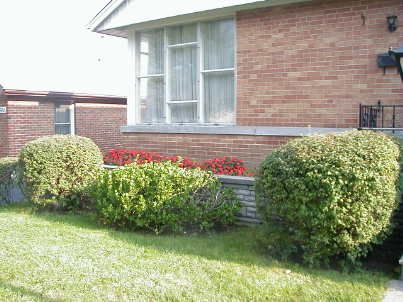 3985 Bloor St W, Toronto, M9B1M2 | Image 2