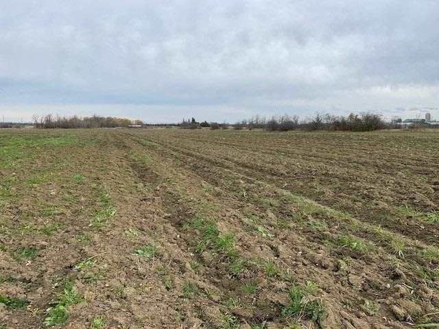 0 King St, Caledon, L4C0V3 | Image 2