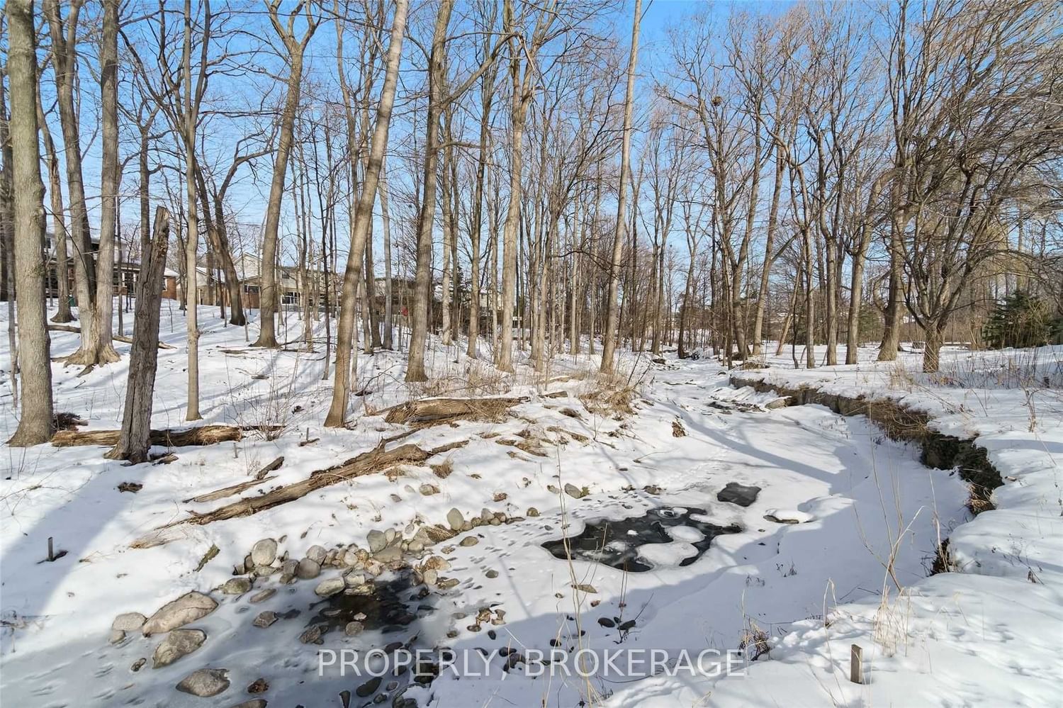 Listing Image 32