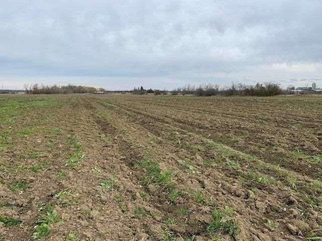 0 King St, Caledon, L7C 0V3 | Image 2