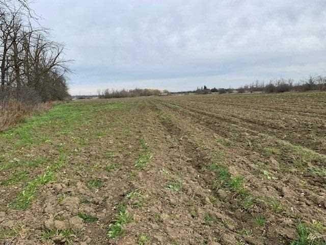 0 King St, Caledon, L7C 0V3 | Image 3