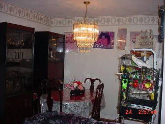 1707 - 2645 Kipling Ave, Toronto, M9V3S6 | Image 2