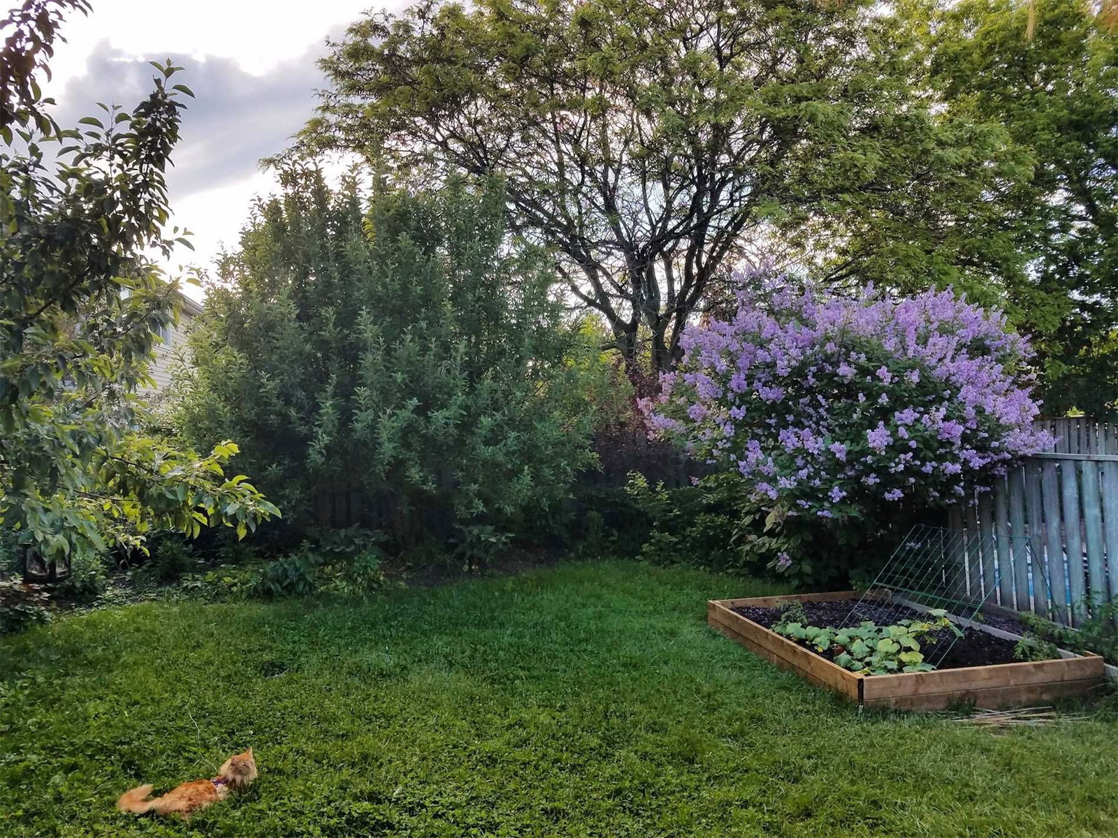 Listing Image 35