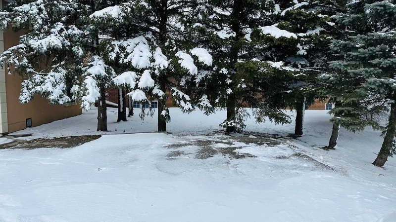 7048 King St, Caledon, L7C 0S3 | Image 3