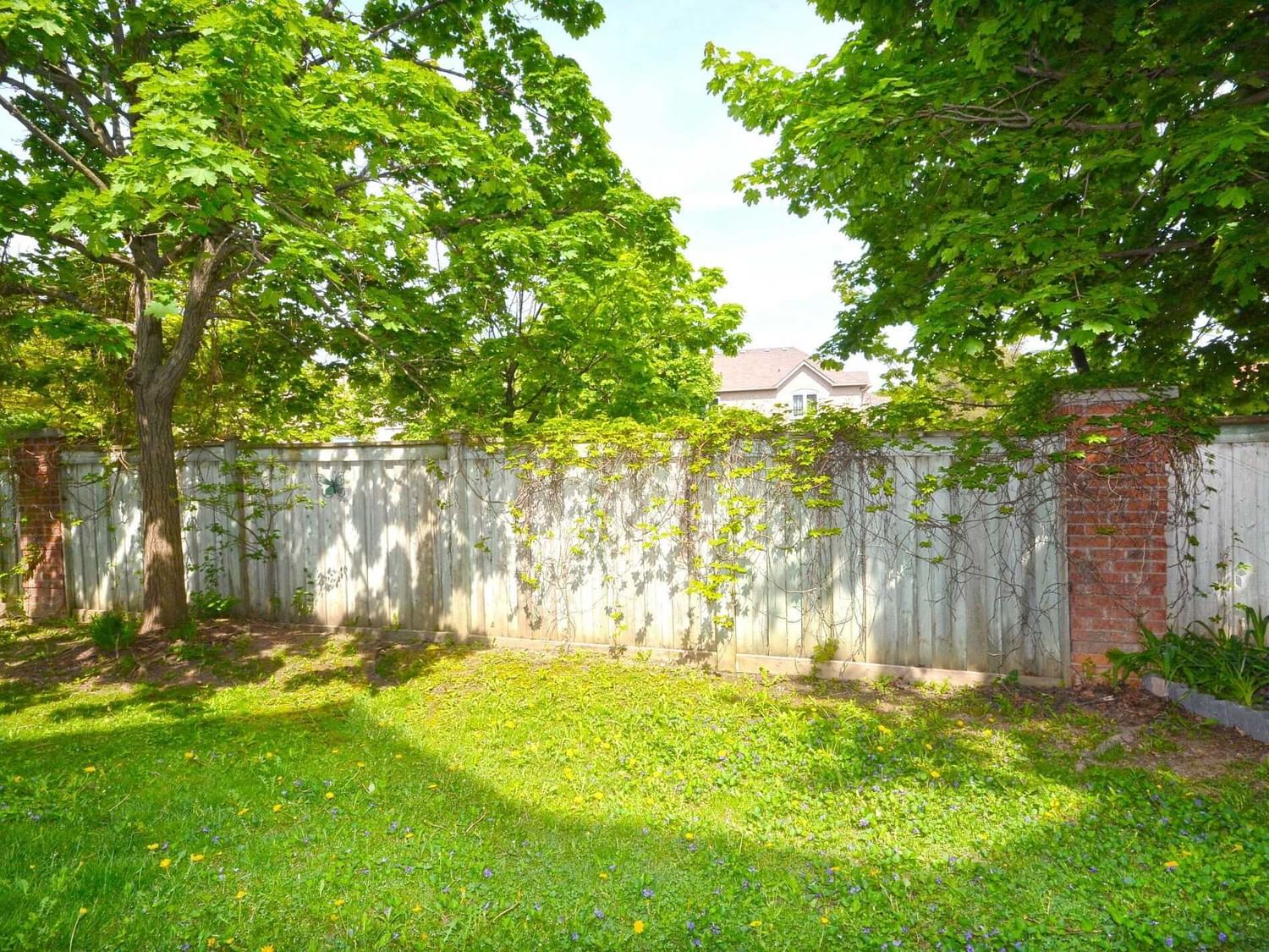 Listing Image 34