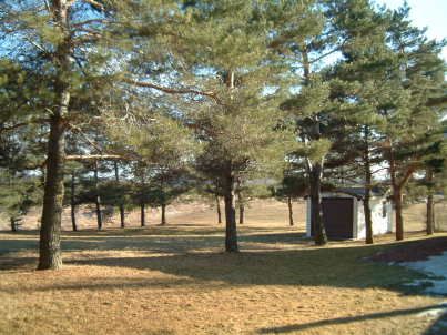 17522 Mount Hope Rd, Caledon, L0N1P0 | Image 3