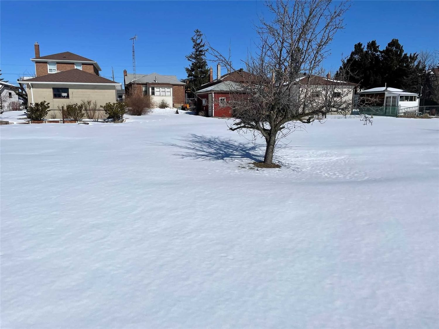 Listing Image 7