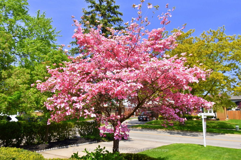 194 Solingate Dr, Oakville, L6L 3T1 | Image 3